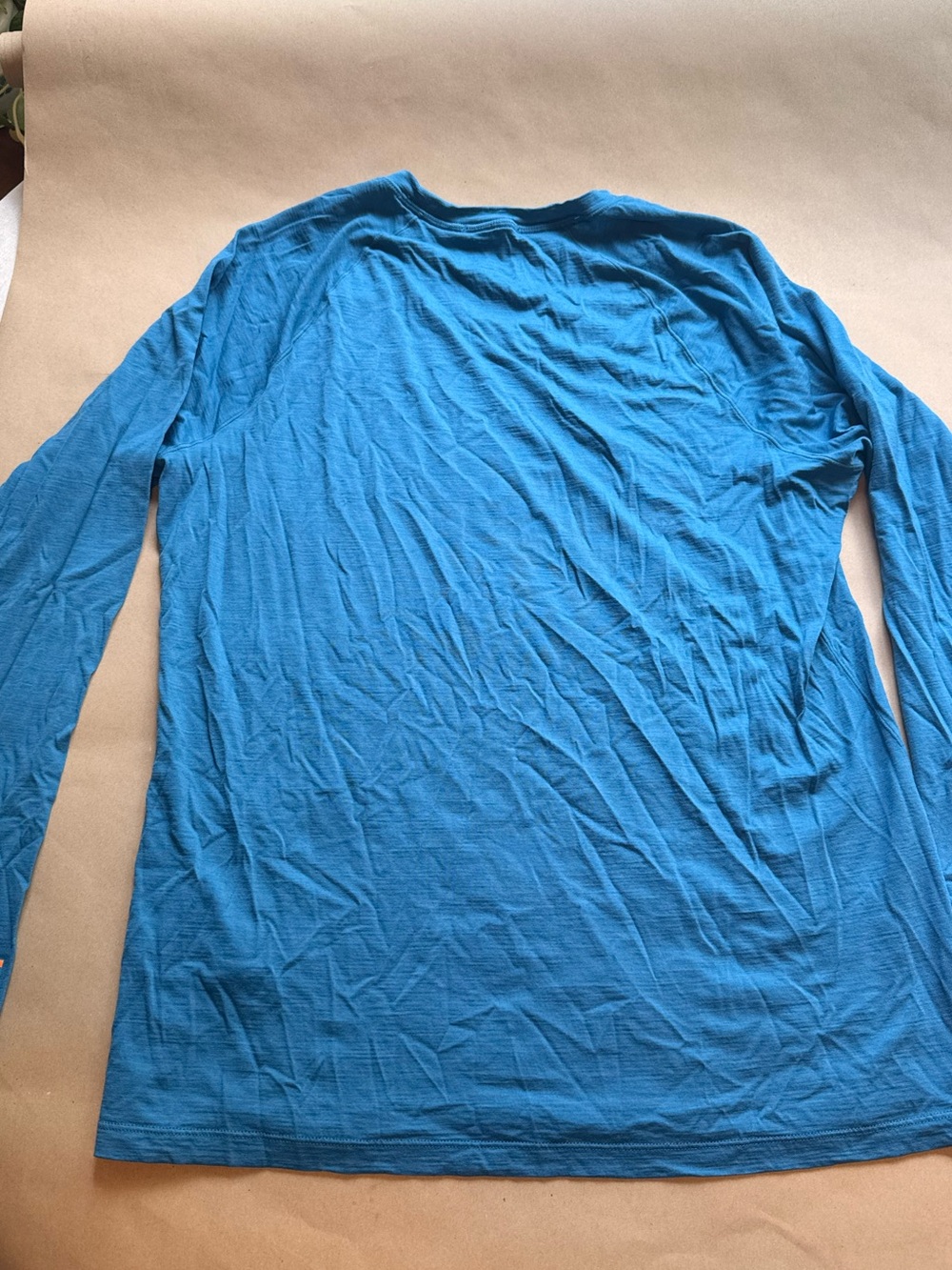 Smartwool Merino 150 Long Sleeve Tee in Teal Blue - Picture 4 of 6